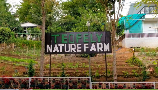 <br/><h3 class='text-white'>Teofely Nature Farm</h3>
                      <br/><br/>
                      
                      