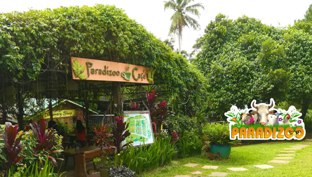 <br/><h3 class='text-white'>Paradizoo Cafe</h3>
                      <br/><br/>
                      
                      