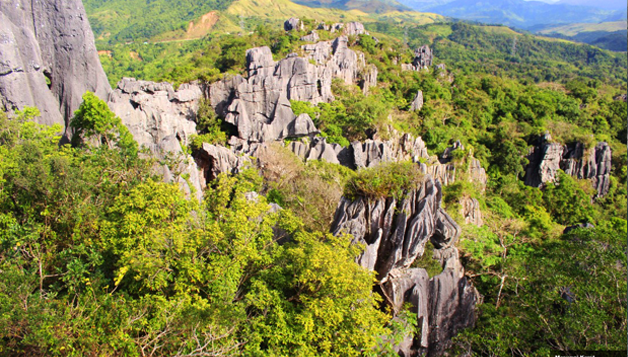 <br/><h3 class='text-white'>Masungi Karst, Tanay, Rizal</h3>
                      <br/><br/>
                      Masungi Karst is a mountain rock formation that the Tanay folks call “Palanas”. It is ideal for mountain climbing. 
                      Mountaineers can explore the area. Camp sites are available at the base of the mountain.
                      
                      